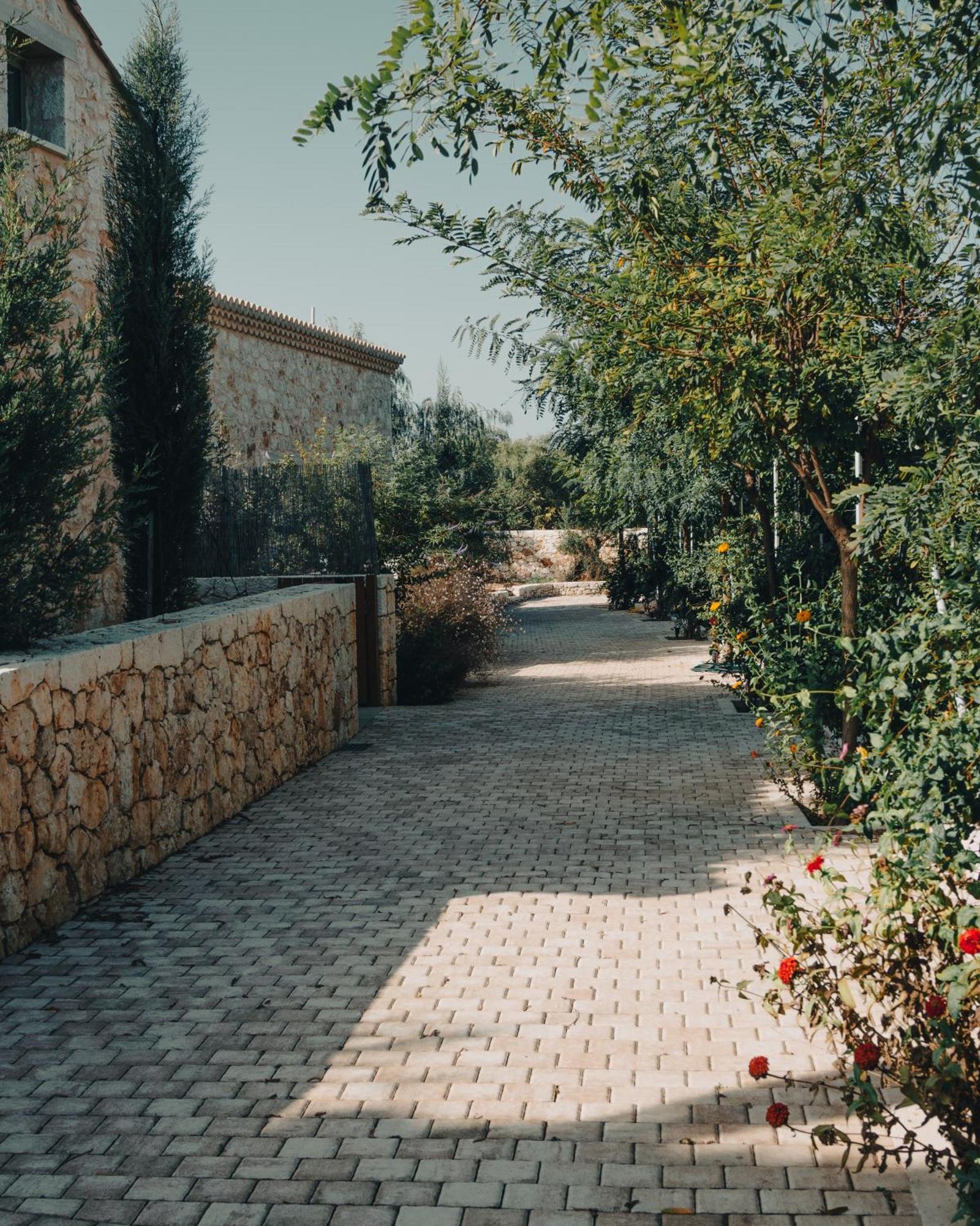 Papadria Villas - Modern Luxury Villas Near Kathisma Beach Tsoukaládhes Zewnętrze zdjęcie